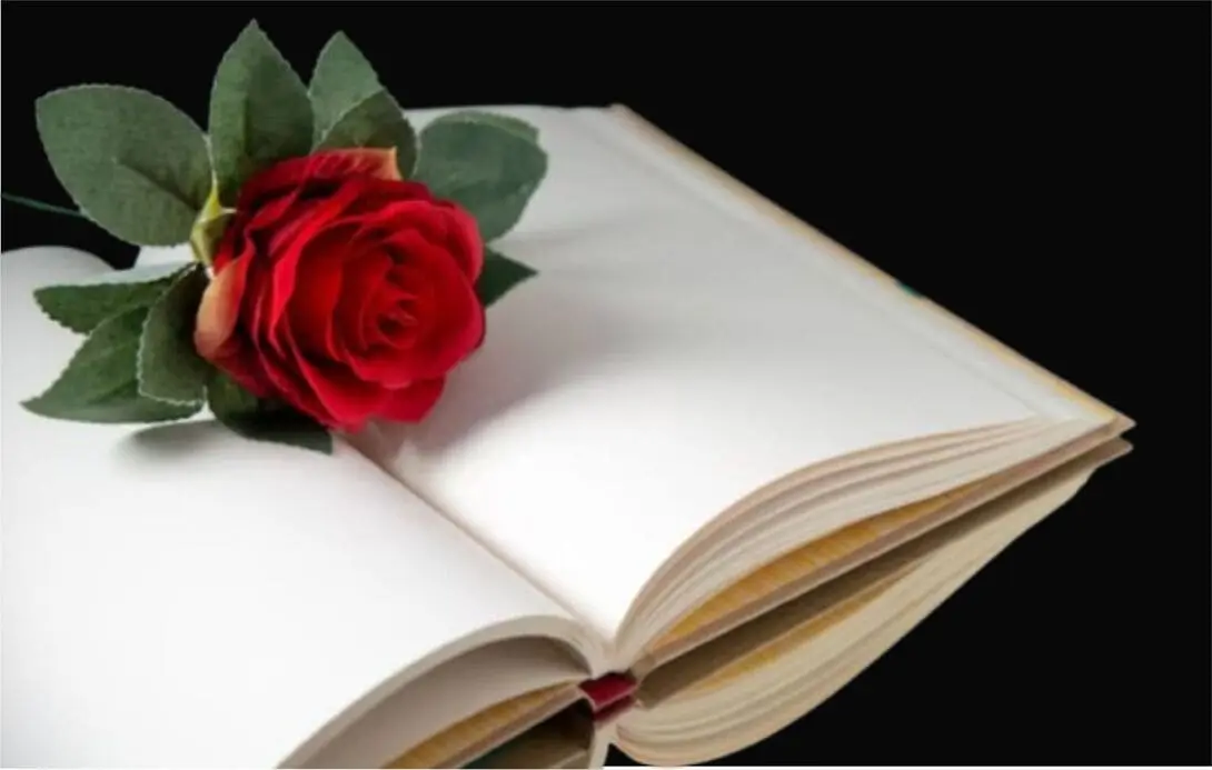 Imagem destacada Categoria POEME-SE