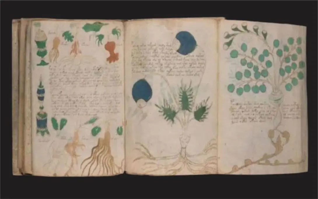 ALMANAQUE-DO-ESTUDANTE-Imagem-Para-o-Artigo-Manuscrito-Voynich-O-Livro-Mais-Misterioso-do-Mundo-I.webp
