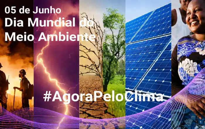 ALMANAQUE-DO-ESTUDANTE-Imagem-Para-o-Artigo-05-de-Junho-Dia-Mundial-do-Meio-Ambiente-I.webp